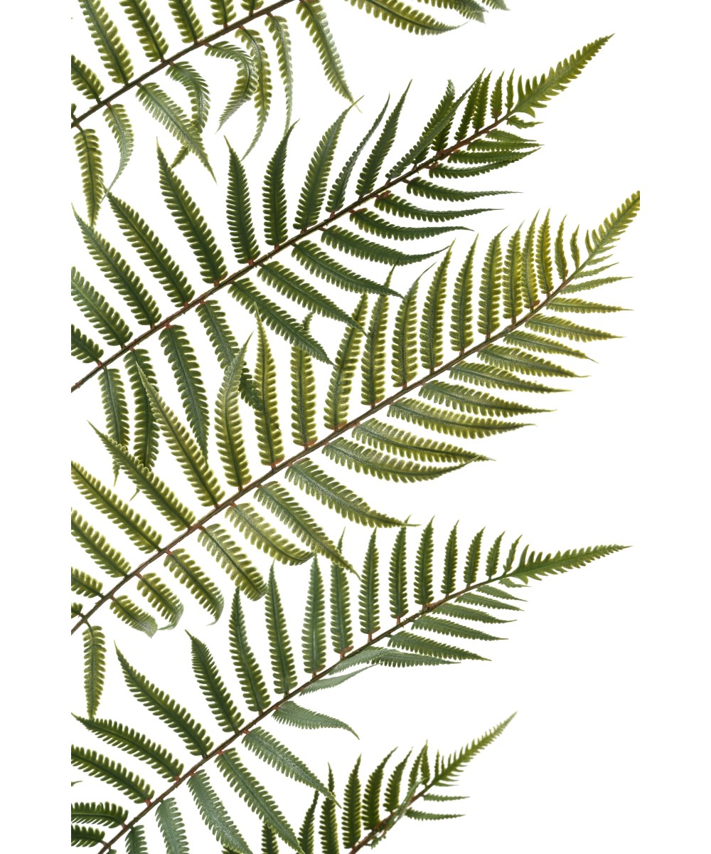 Artificial GIANT FERN LEAF 185