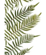 Artificial GIANT FERN LEAF 185
