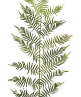Artificial GIANT FERN LEAF 185