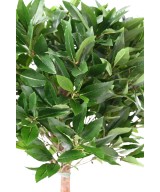 Artificial LAUREL BALL STEM 135 UV B