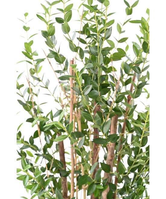 Artificial Eucalyptus Mini Bush 150 cm