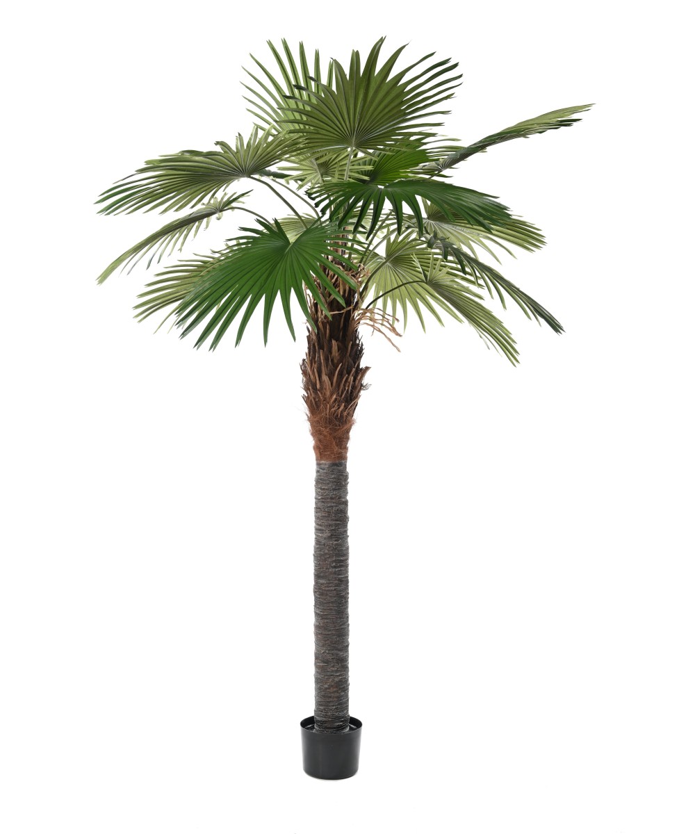 Artificial Camerus Palm Tree (Fan Palm)