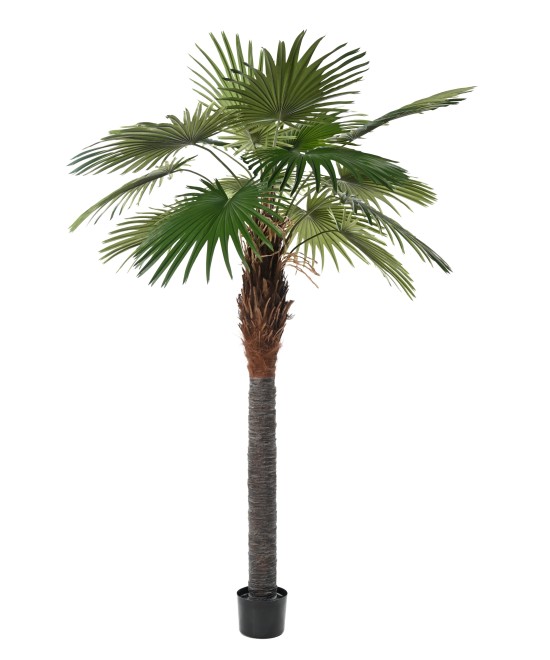 Artificial Camerus Palm Tree (Fan Palm)