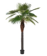 Artificial Camerus Palm Tree (Fan Palm)