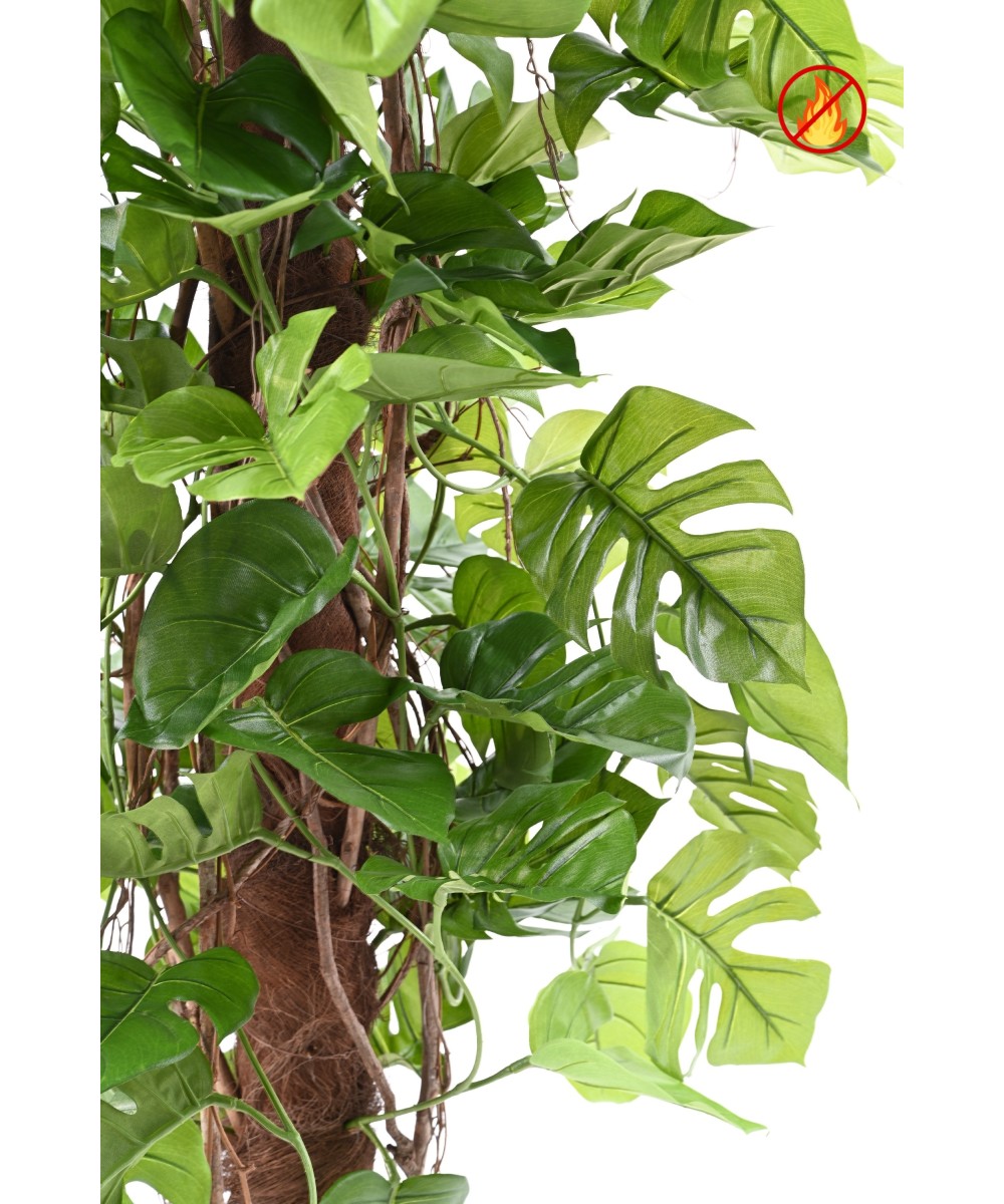 Kunstfilodendron MONSTERA KOOKOSPOOLEL 195 FR - Tulekindel