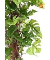 Artificial PHILODENDRON MONSTERA ON COCO POLE 195 FR - Fire Resistant