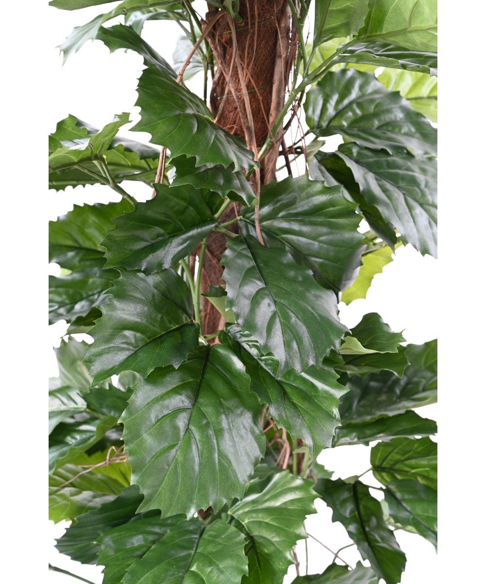 Kunstlik TETRASTIGMA TAIM