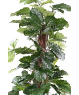 Kunstlik TETRASTIGMA TAIM