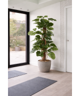 Kunstlik TETRASTIGMA TAIM