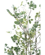 Kunstlik mürtlipuu 135