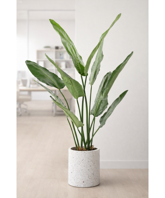 Kunstlik strelitzia Nicolai