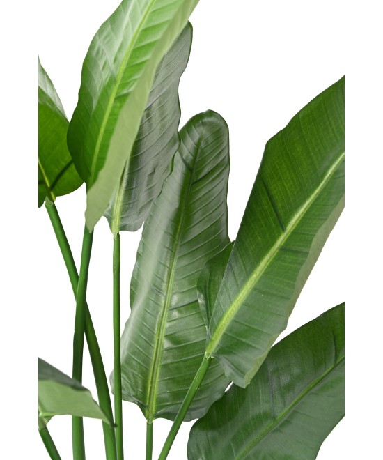 Kunstlik strelitzia Nicolai