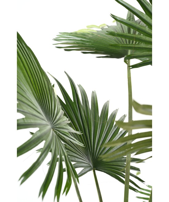 Artificial Livistona Palm tree (Fan Palm)