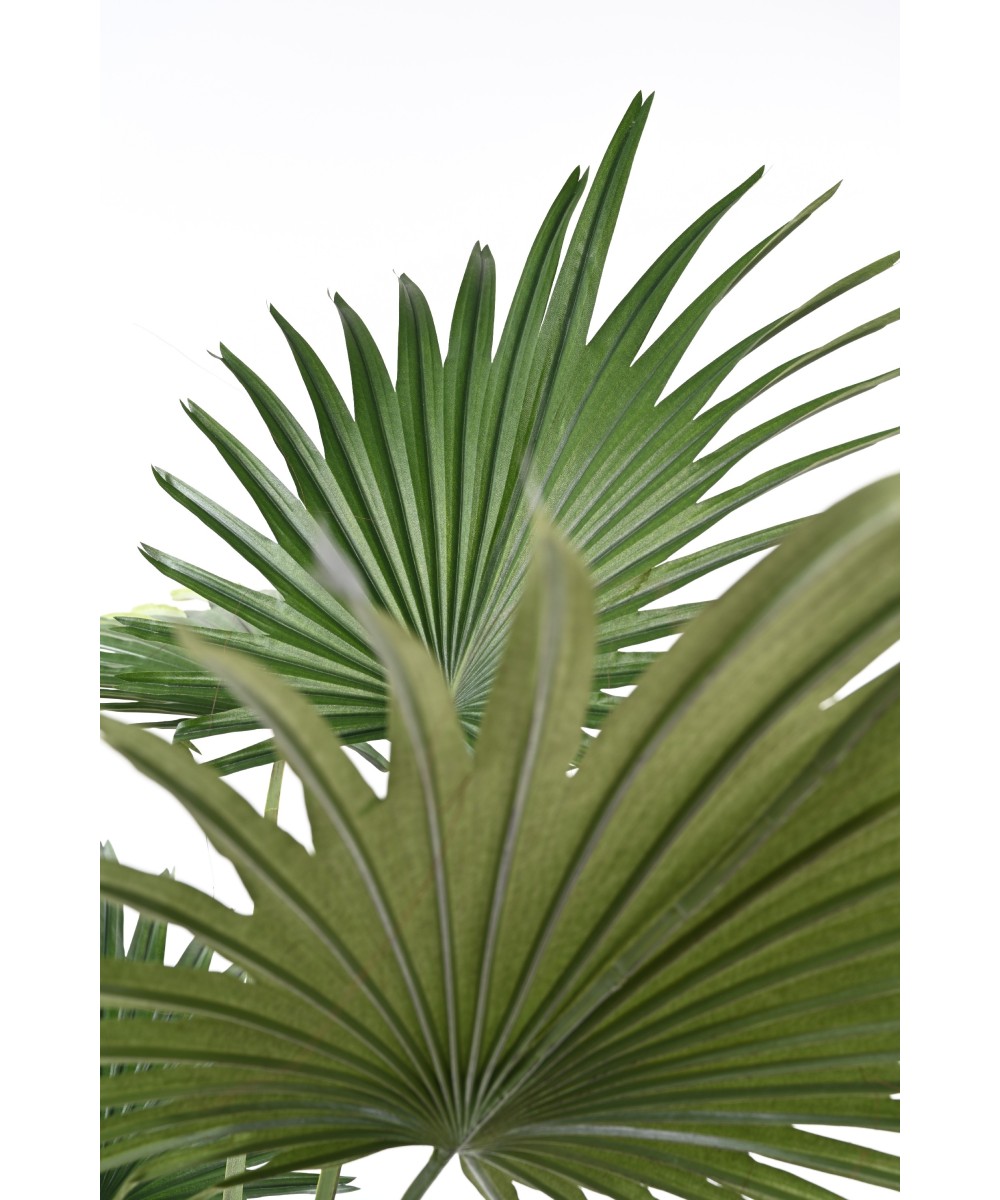 Kunstlik Livistona palmipuu (lehvikpalm)