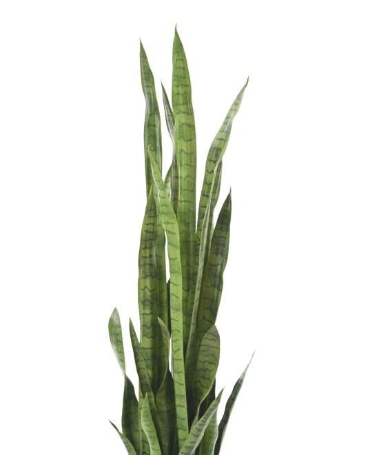 Kunsthavisaba suur 155 cm