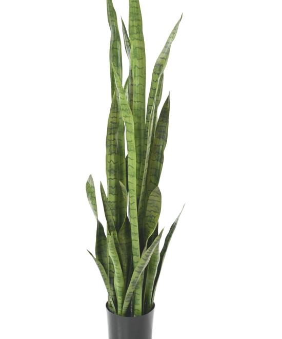 Kunsthavisaba suur 155 cm