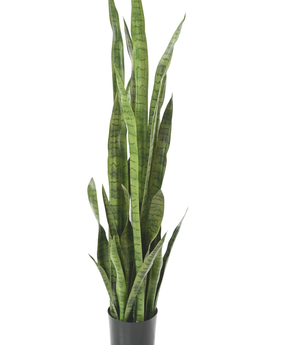 Kunsthavisaba suur 155 cm
