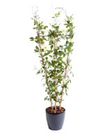 Artificial clematis FENCE