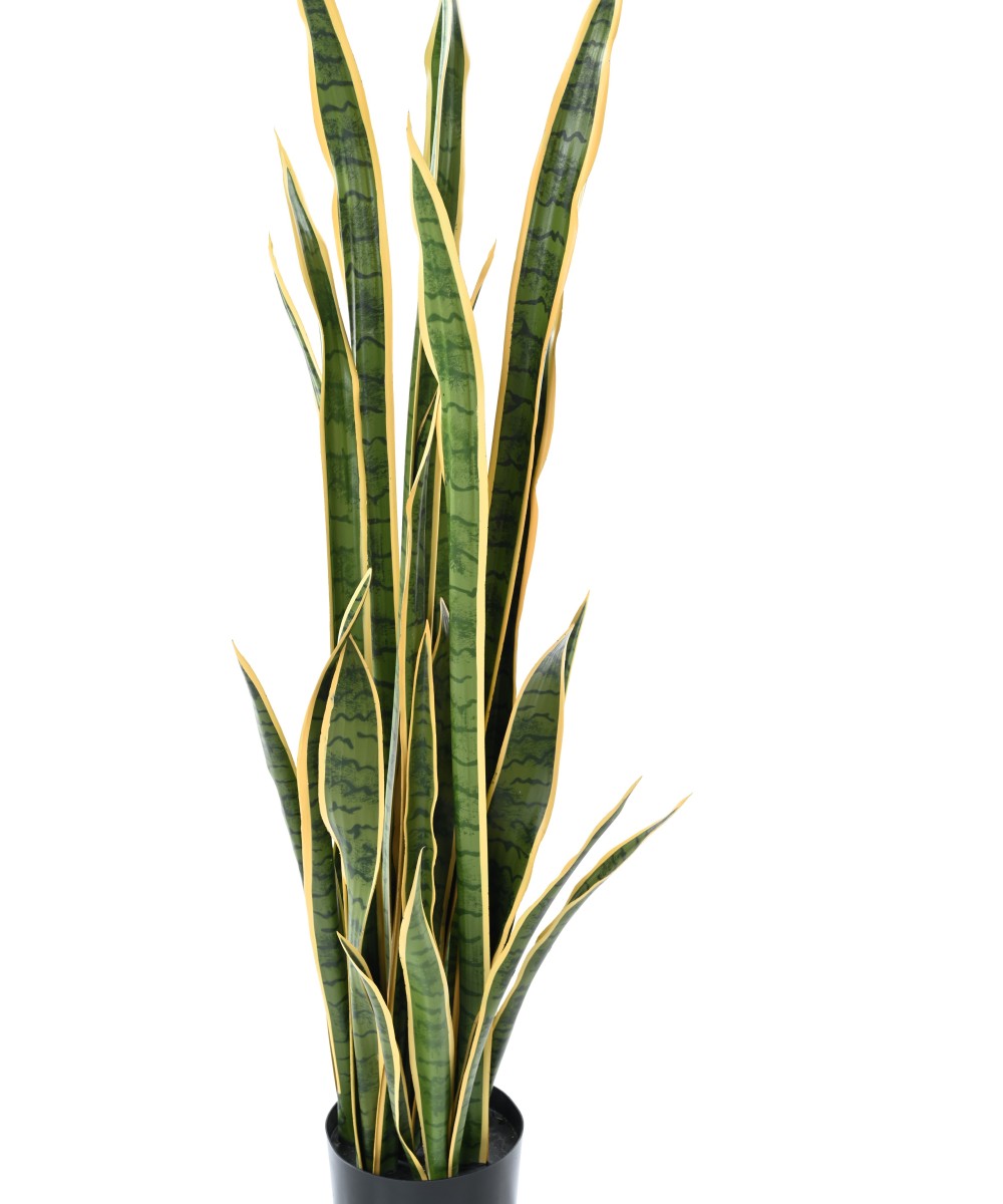 Kunsthavisaba suur 155 cm