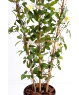 Artificial clematis FENCE