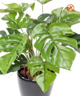 Kunstlik filodendron, monstera, pott FR – tulekindel