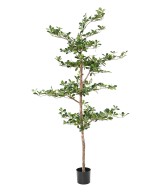 Artificial Black Olive Ficus Multi-layered