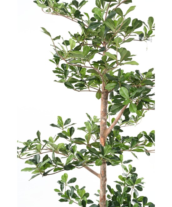 Artificial Black Olive Ficus Multi-layered