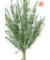 Artificial ROSEMARY 48 FR – Fire Resistant