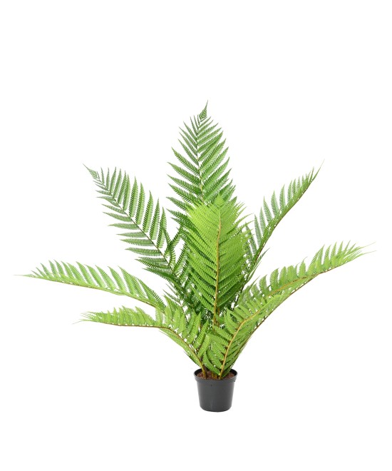Artificial Royal Alsophila Fern in Pot