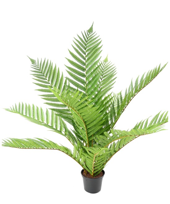 Artificial Royal Alsophila Fern in Pot