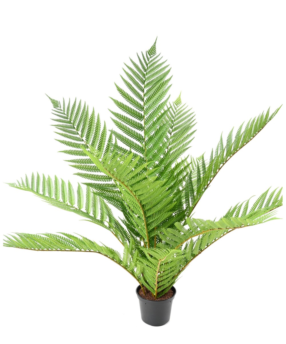 Artificial Royal Alsophila Fern in Pot