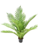 Artificial Royal Alsophila Fern in Pot