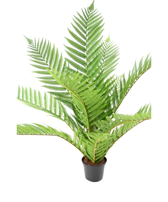 Artificial Royal Alsophila Fern in Pot
