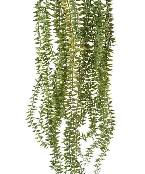 Artificial Canadian Waterweed