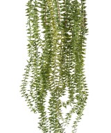 Artificial Canadian Waterweed