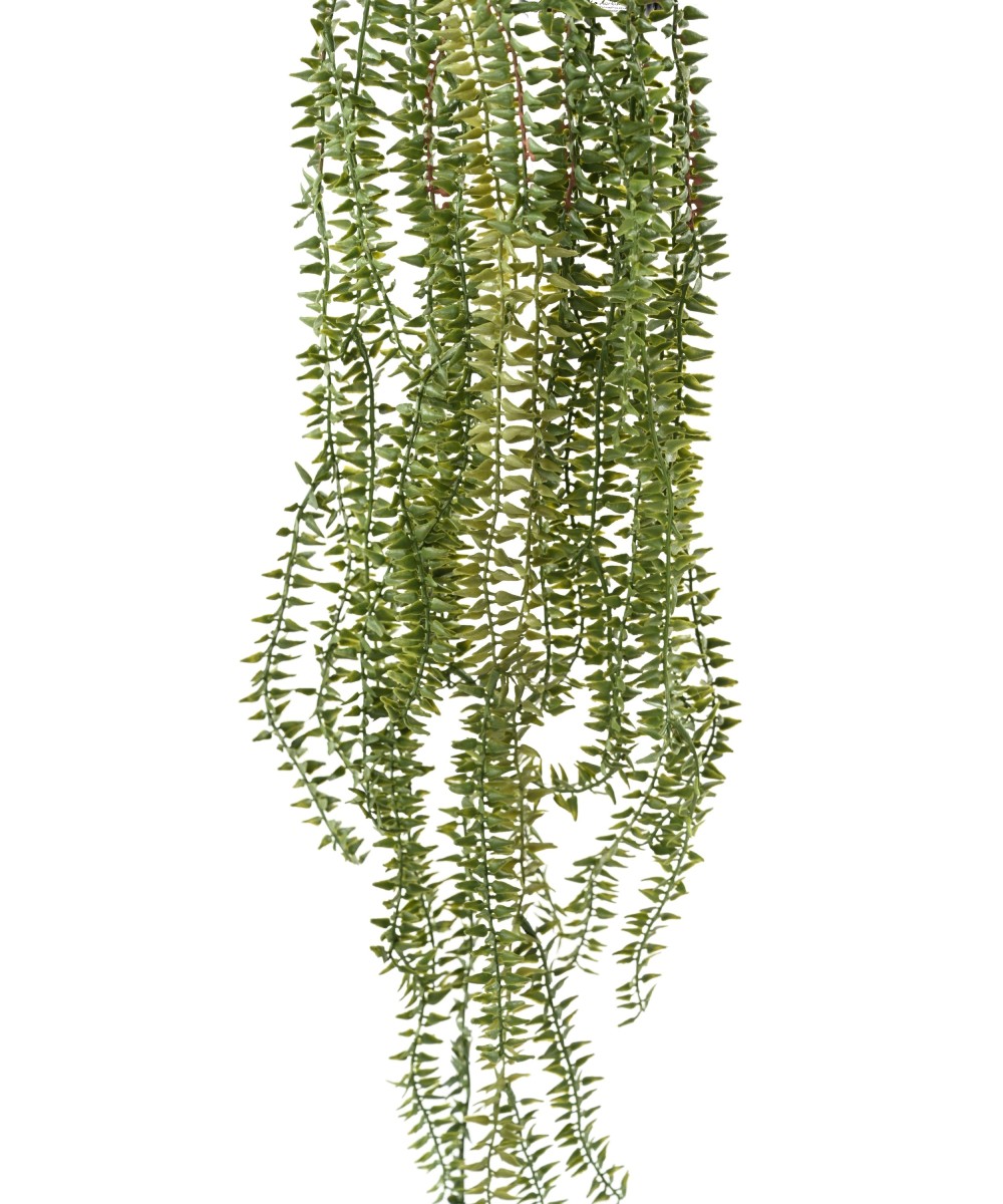 Artificial Canadian Waterweed