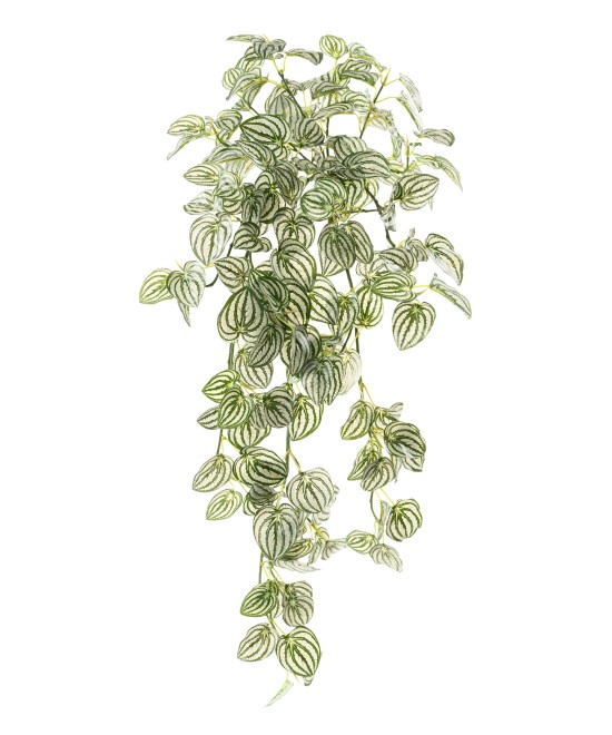Kunstlik ripppõõsas Peperomia 95