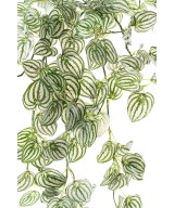 Kunstlik ripppõõsas Peperomia 95