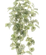 Kunstlik ripppõõsas Peperomia 95