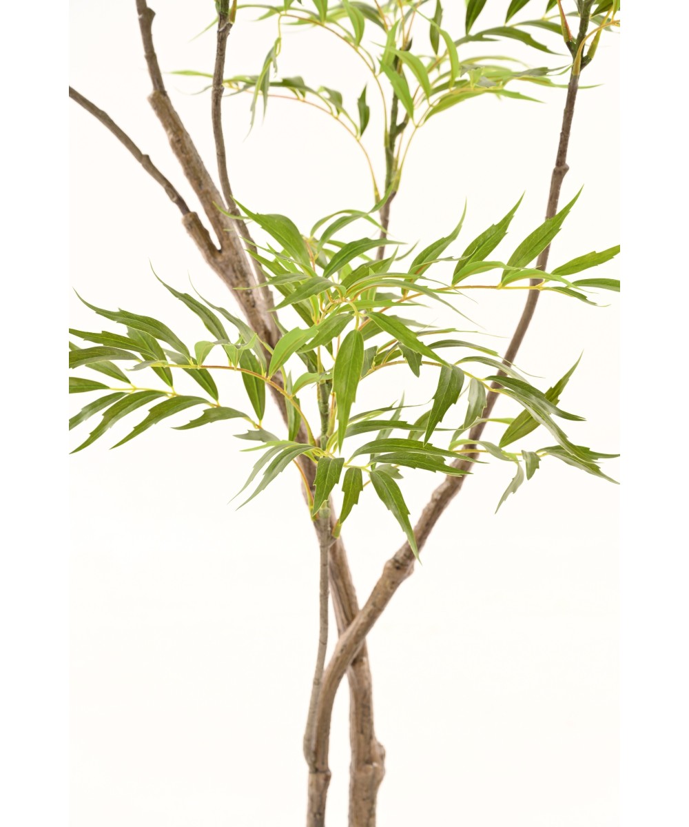 Kunstlik mahoonia 1m65
