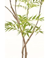 Kunstlik mahoonia 1m65