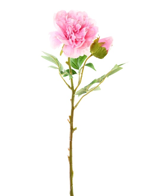 Artificial Peony
