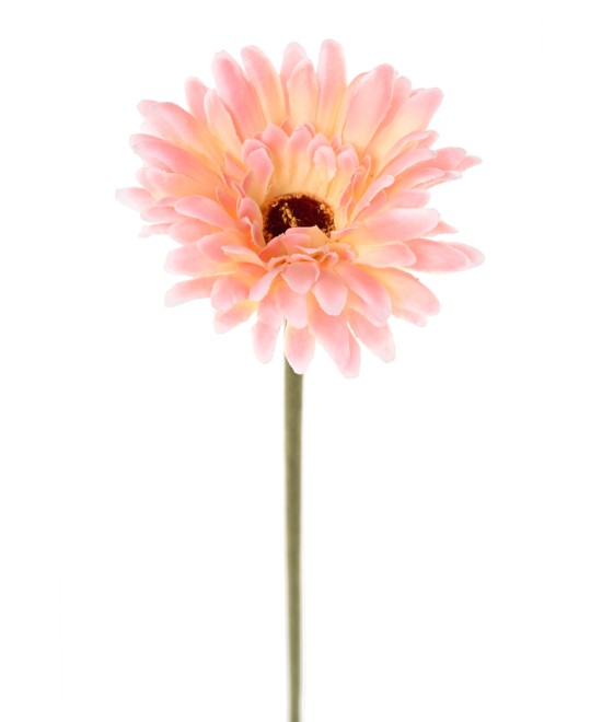 Kunstlik gerbera