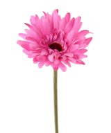 Kunstlik gerbera