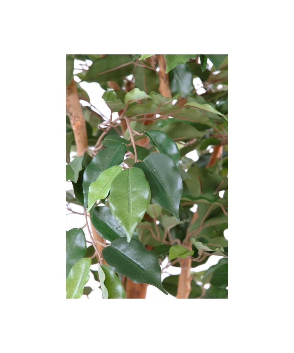 Artificial Ficus SINGLE TRUNK LL