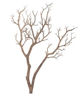 Artificial BRANCH 105