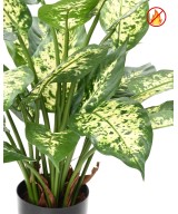 Kunstlik tulekindel dieffenbachia potis * 26