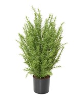 Artificial ROSEMARY BUSH 60