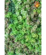 Artificial Green Wall Panel Moss 100 × 100 FR – Fire Resistant