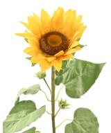 Artificial Sunflower 88
